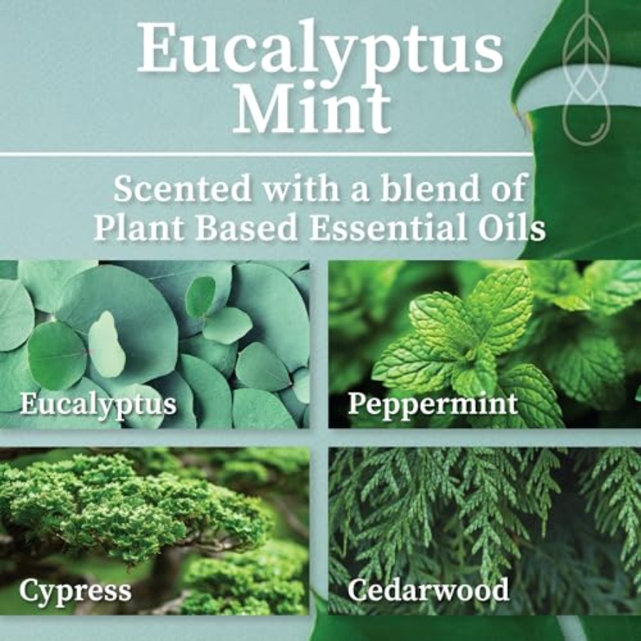 Eucalyptus Mint Apothecary Han – Wood Wick Crackle Bewertung und Preis