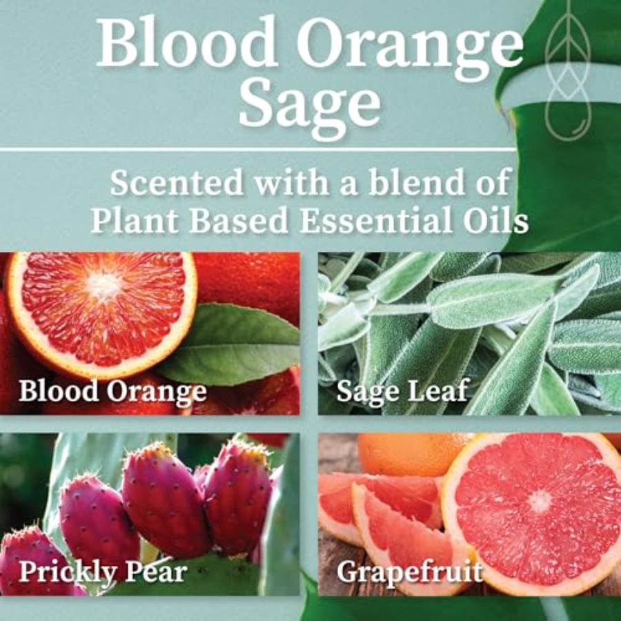 Blood Orange Sage Apothecary H – Wood Wick Crackle Bewertung und Preis
