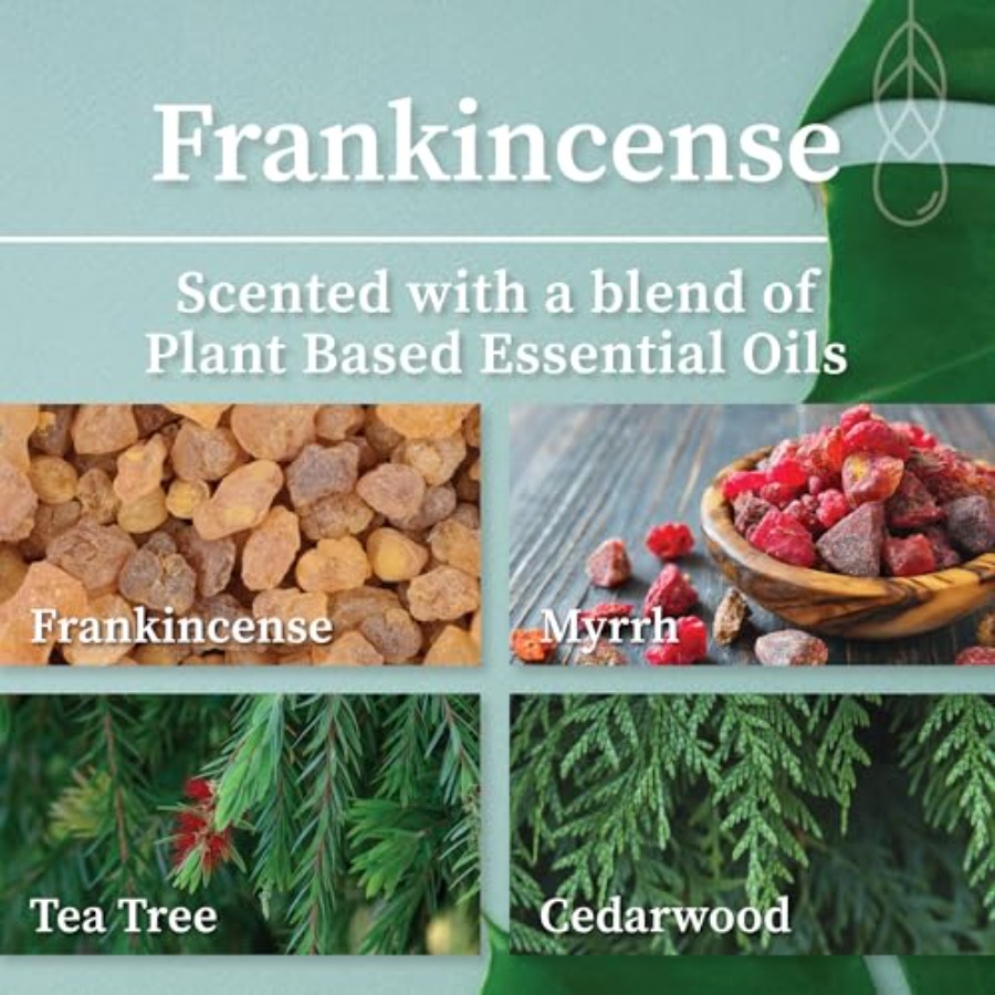 Crackling Wood Wick Candle Han – Wood Wick Crackle Bewertung und Preis