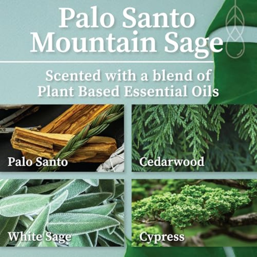 Palo Santo Mountain Sage Apoth – Wood Wick Crackle Bewertung und Preis