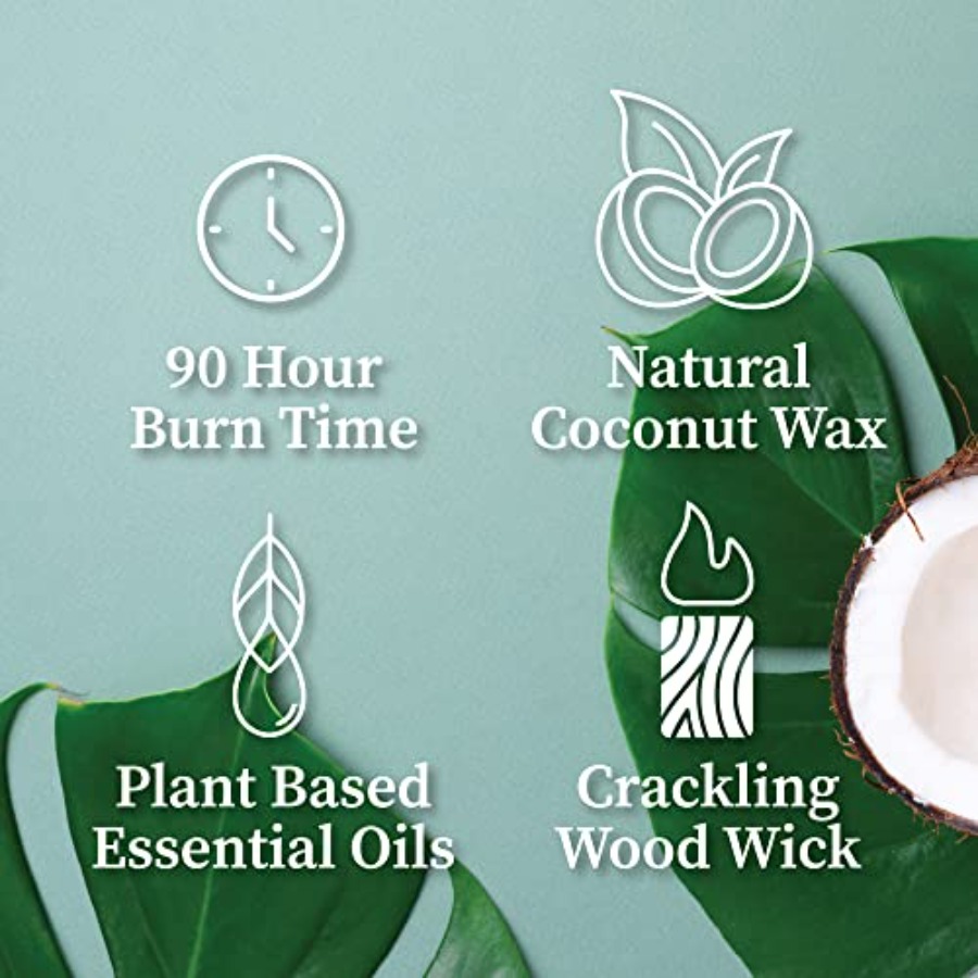 Palo Santo Mountain Sage Apoth – Wood Wick Crackle Bewertung und Preis