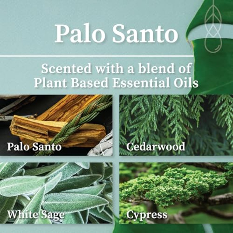 Palo Santo Apothecary Hand-Pou – Wood Wick Crackle Bewertung und Preis
