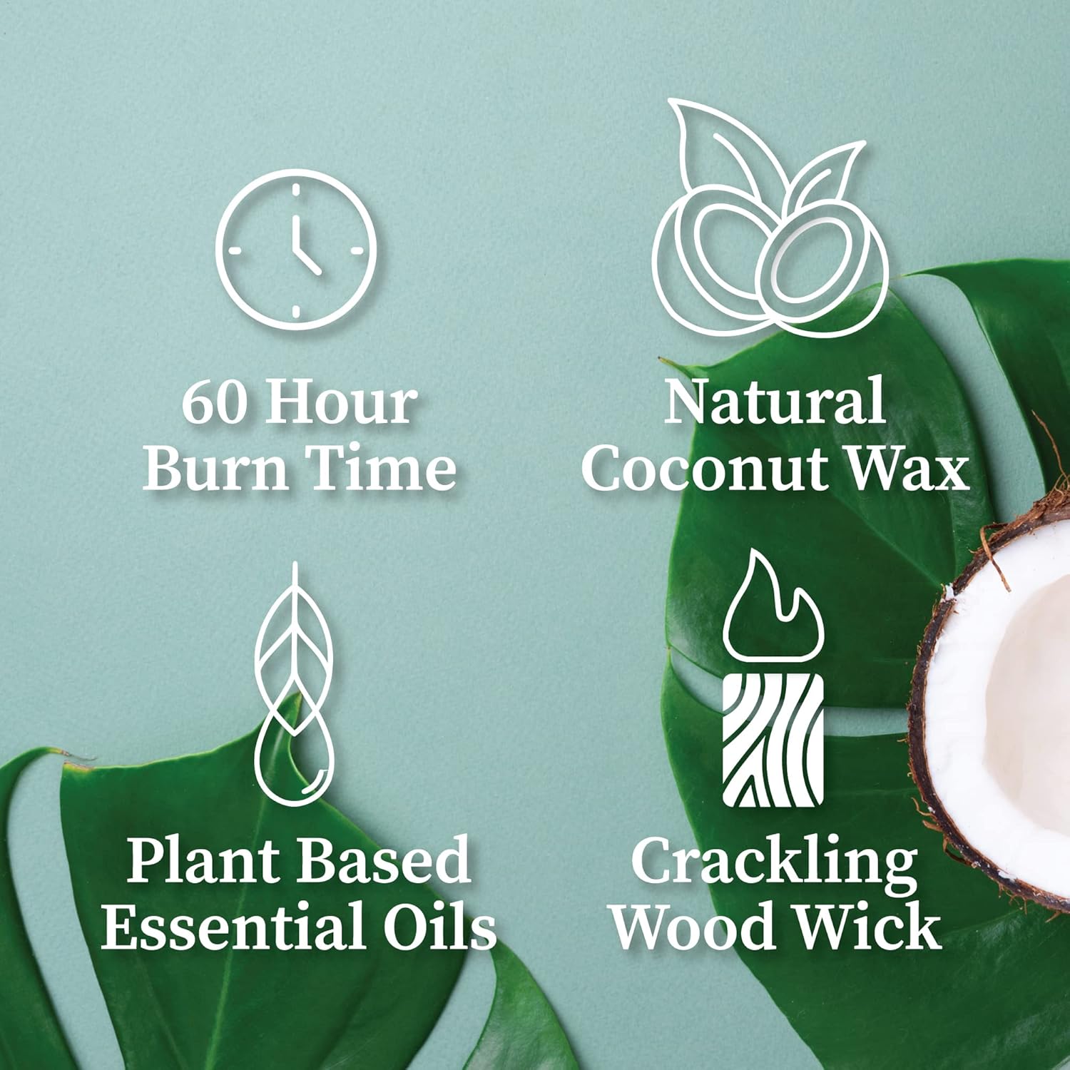 Hand-Poured Scented Candle Wit – Wood Wick Crackle Bewertung und Preis